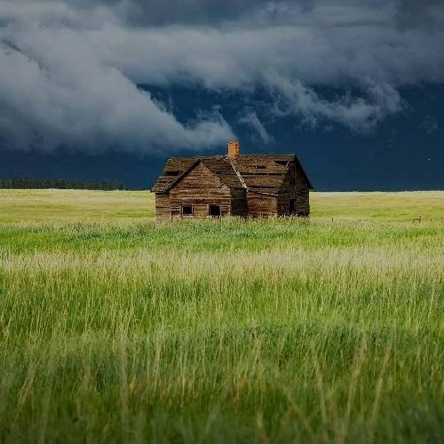  من و تو هردو تو اسارتیم من اسیر یه سر تو اسیر یه دست